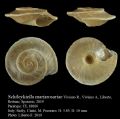 Schileykiella mariarosariae